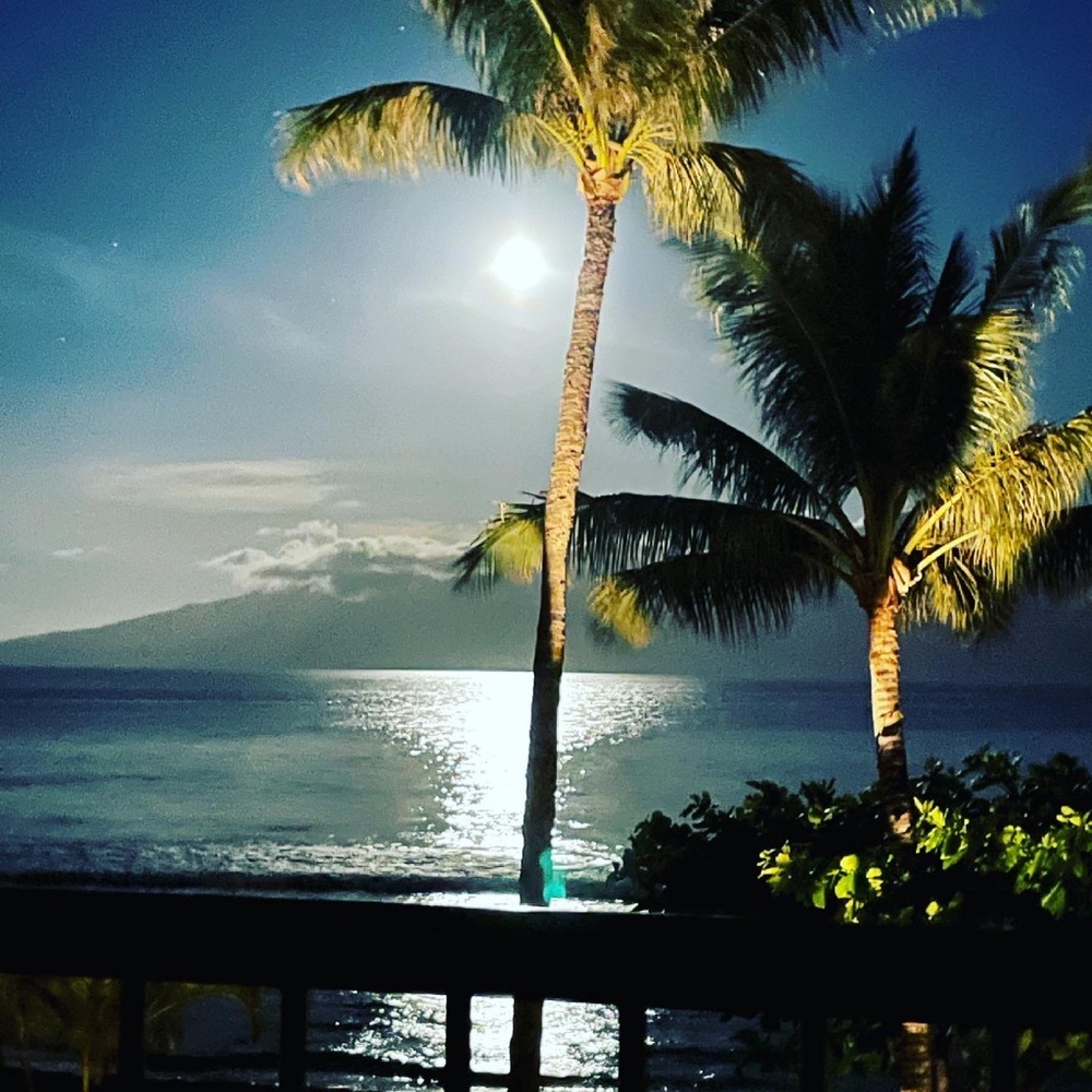 Meet your Posher, Jenn